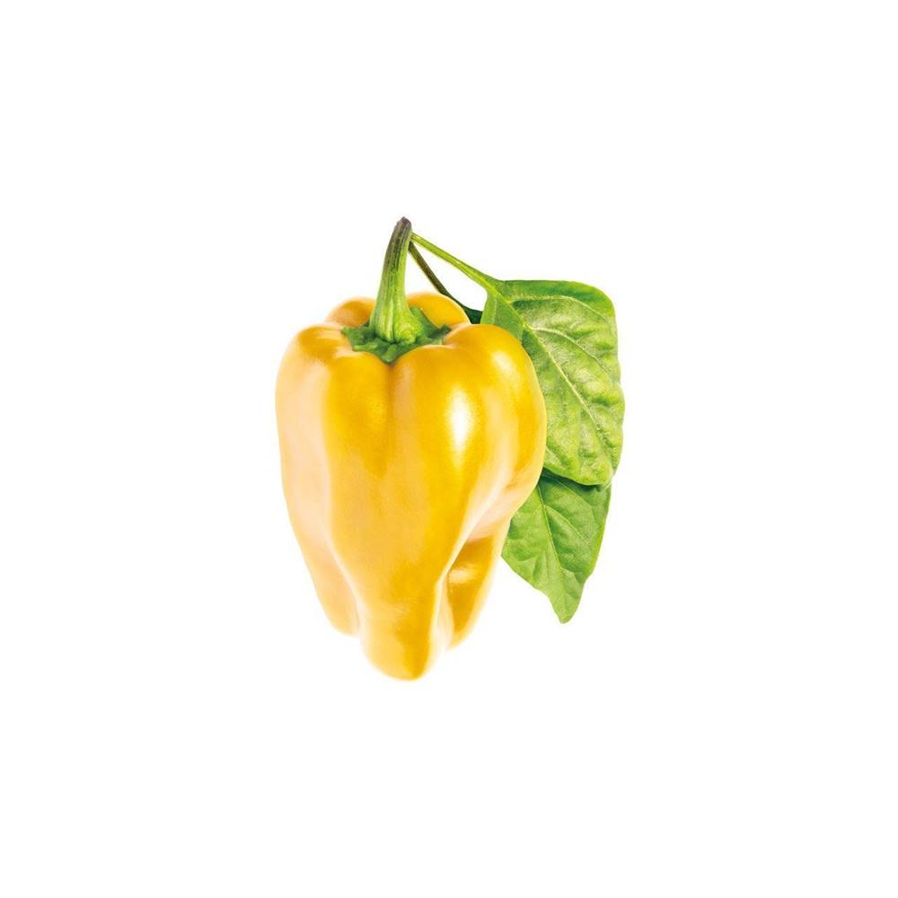 Click and Grow  sladká žltá paprika,  kapsule so semienkami a substrátom 3ks značky Click and Grow