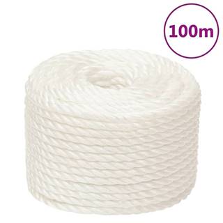 Vidaxl Pracovné lano biele 24 mm 100 m polypropylén