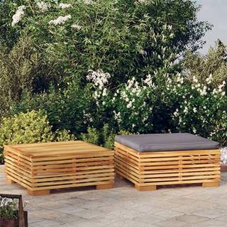 Vidaxl 2-dielna záhradná sedacia súprava masívne teakové drevo