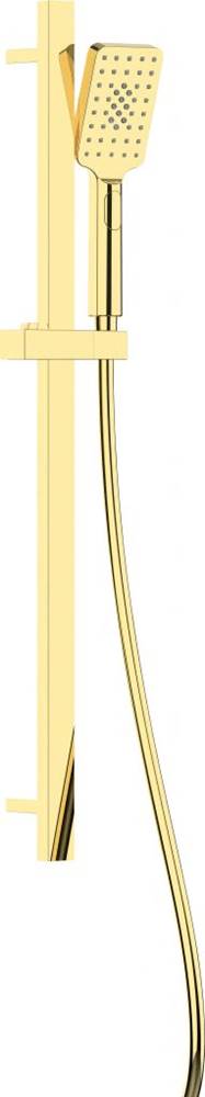 Deante  Alpinia gold sprchový set,  3-funkčný,  s posuvnou tyčou (NGA_Z52K) značky Deante