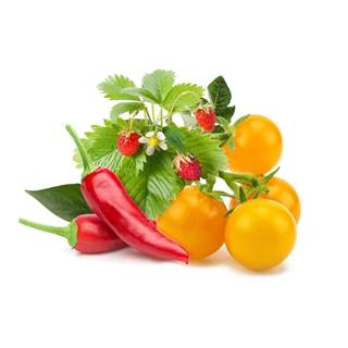 Click and Grow  mix ovocia a zeleniny,  kapsule so semienkami a substrátom 9 ks značky Click and Grow