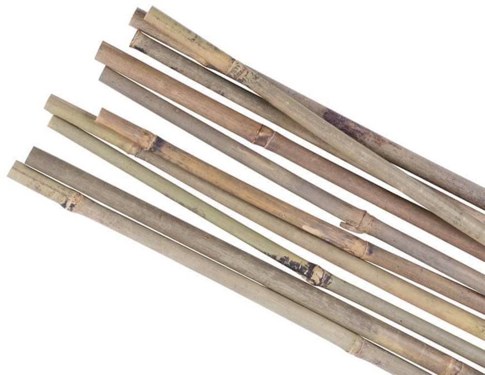Strend Pro  Tyč Garden KBT 1050/10-12 mm,  bal. 10 ks,  bambus,  oporná k rastlinám značky Strend Pro