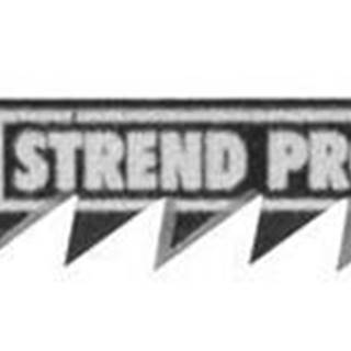 Strend Pro  List do priamočiarej píly T144D 100 mm,  6z,  na drevo,  bal. 5 ks 226538 značky Strend Pro