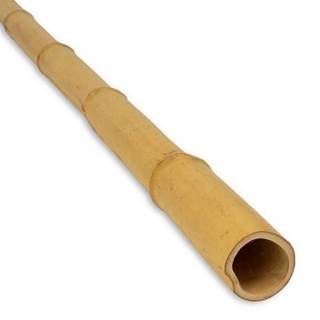 podpera bambusová priemer 14/16mm,  dĺžka 180cm
